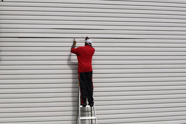Best Custom Trim and Detailing for Siding  in East Valley, NV